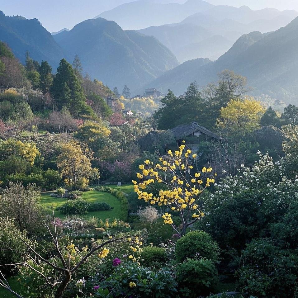 静观花木东锅锅