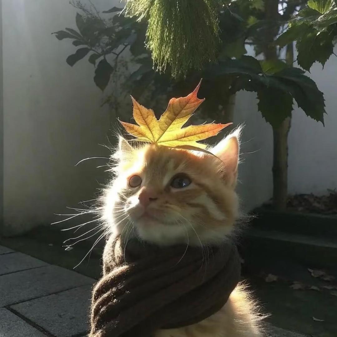 肆