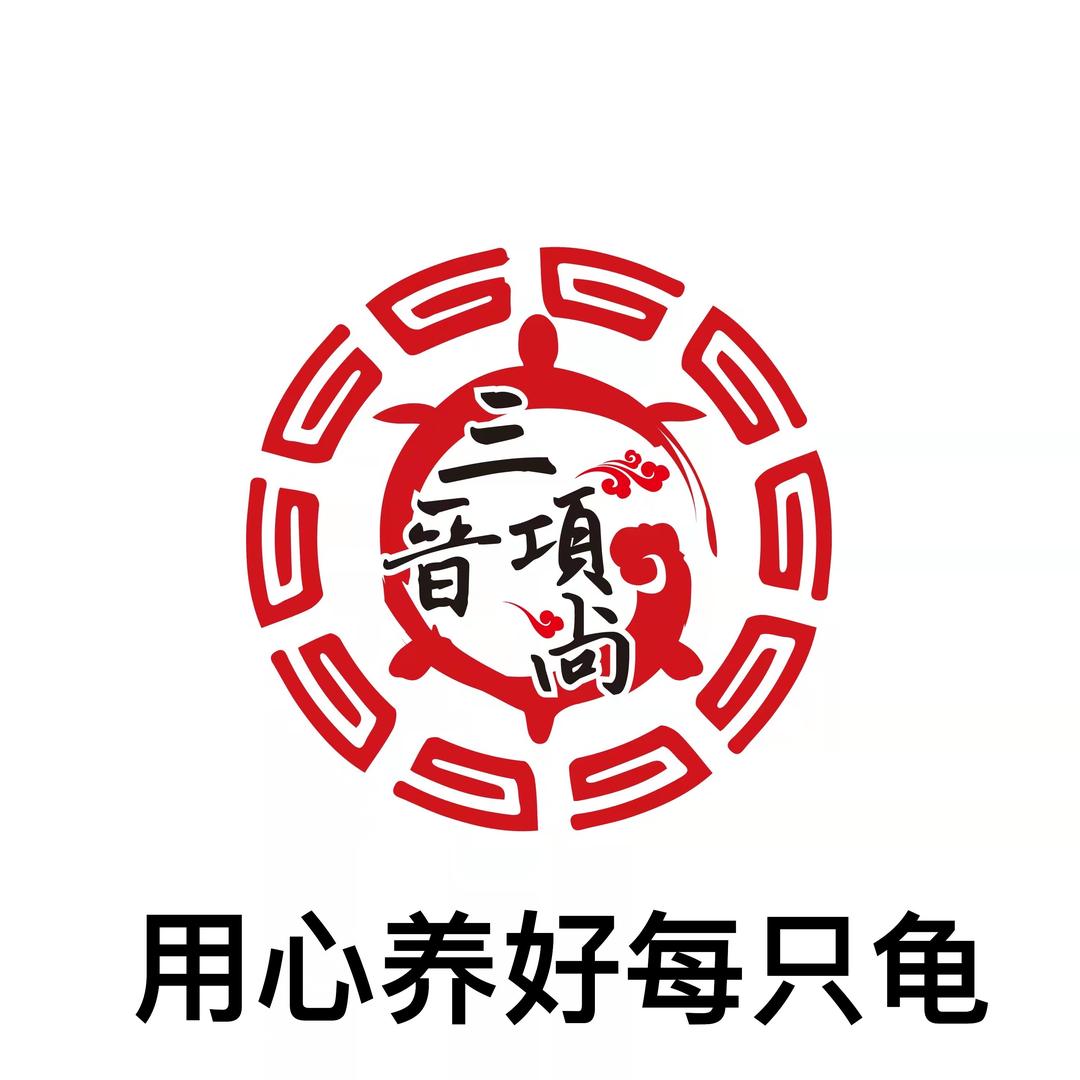 三晋龟都