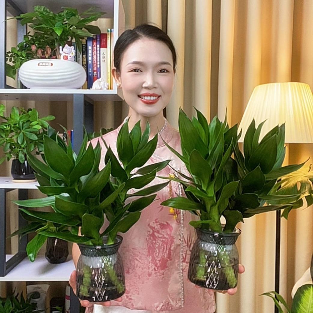 张灯结彩🍒