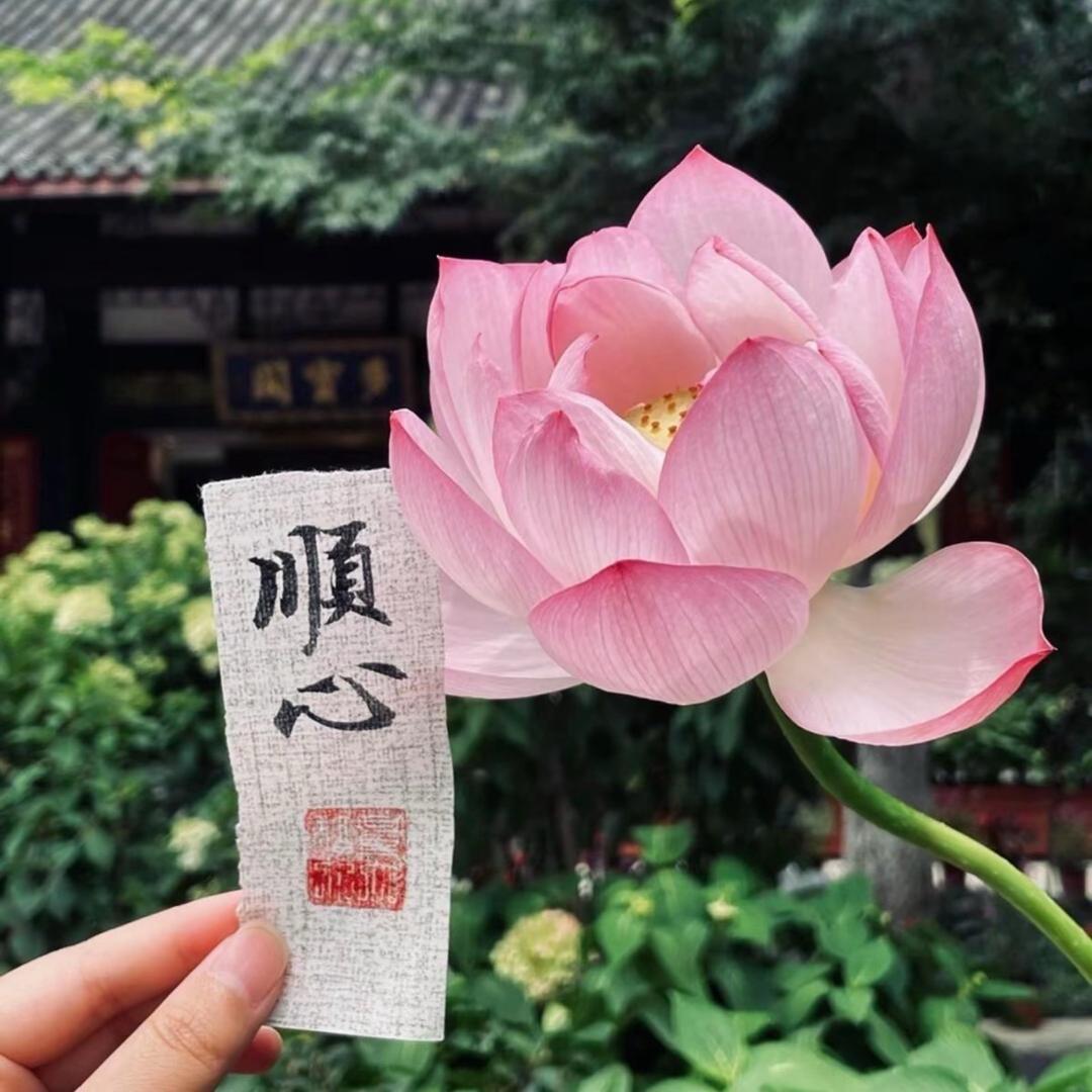 惜📿