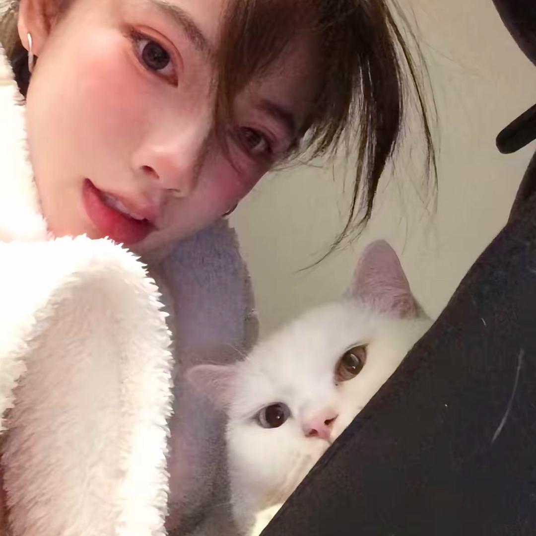 蛋挞没有挞
