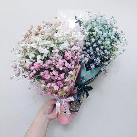 💝乘风破浪💝