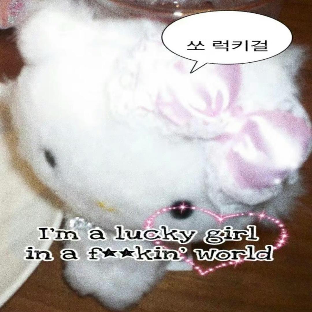 你为什么不说话