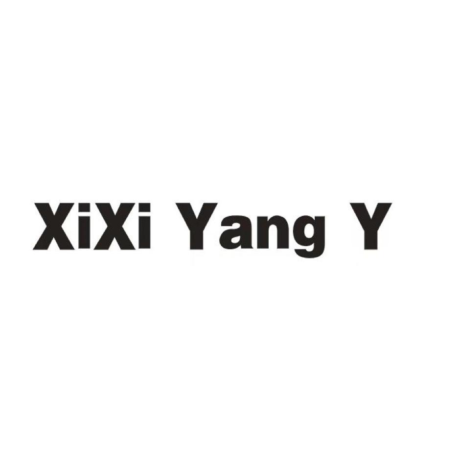 XiXi Yang Y.原创小众饰品
