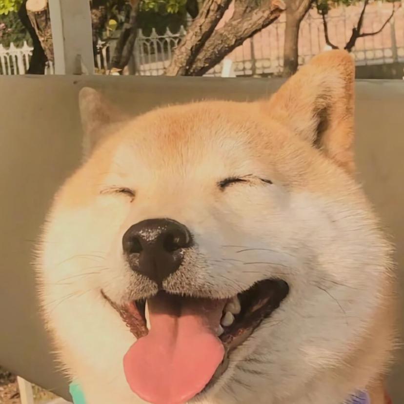 梦三桃桃