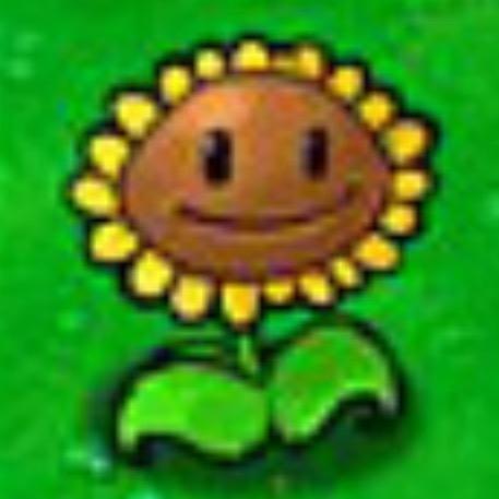 ☀️☀️☀️☀️☀️☀️