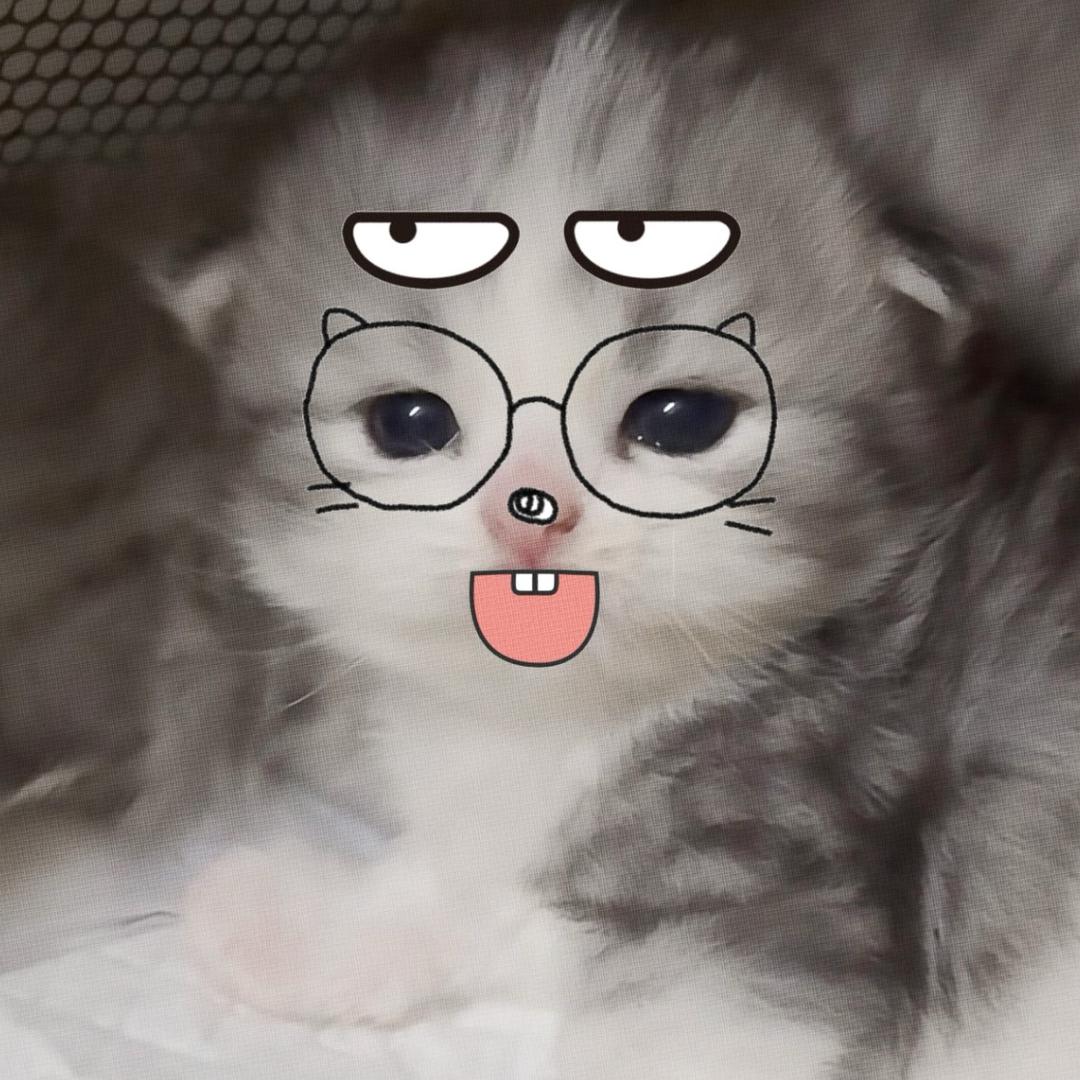YununTwT