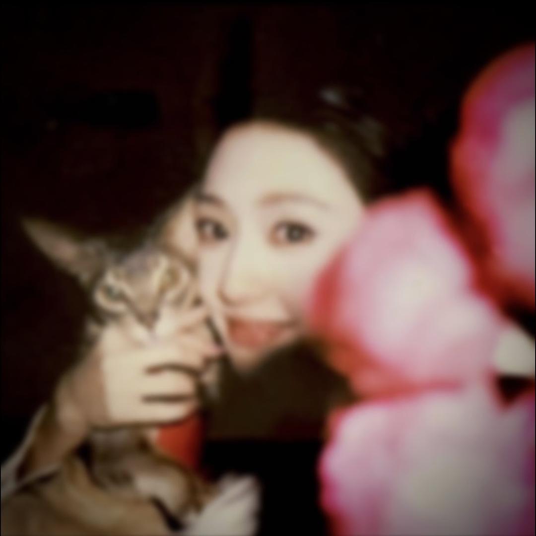 一只狮子