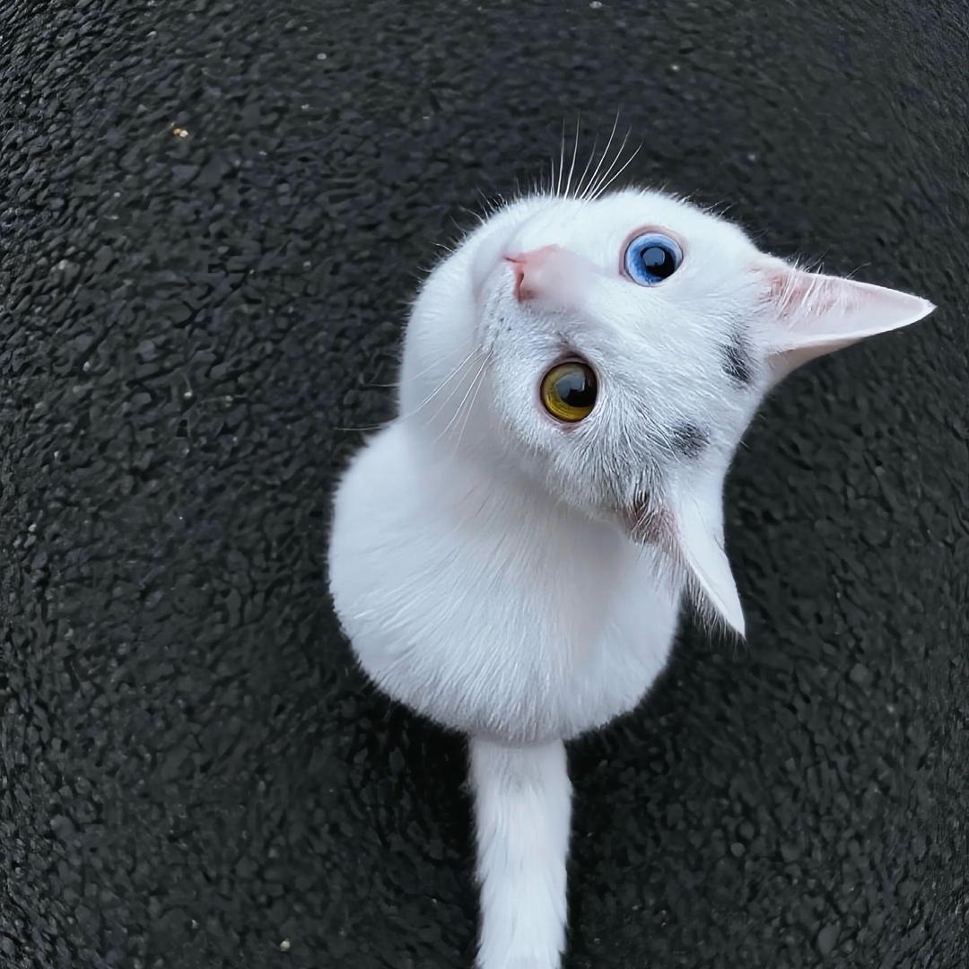 不在。