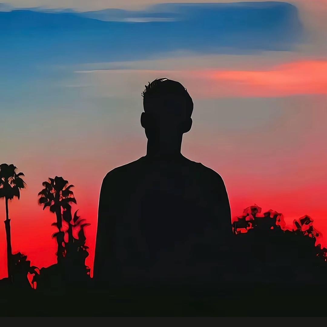 寻茶 真味普洱茶