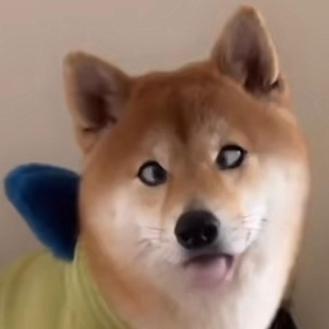 🌈我为你唱最后的古谣