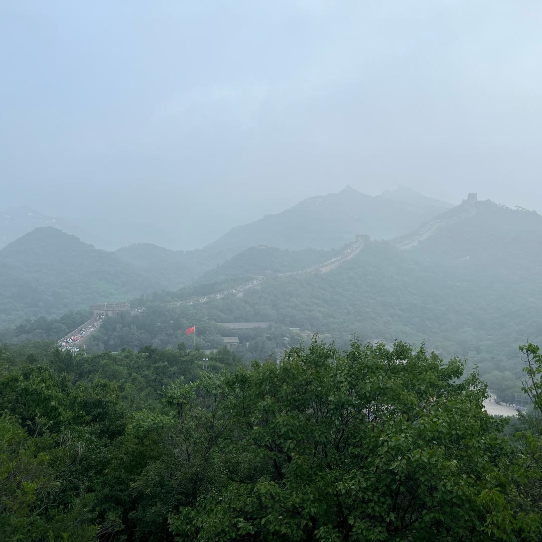 巳巳