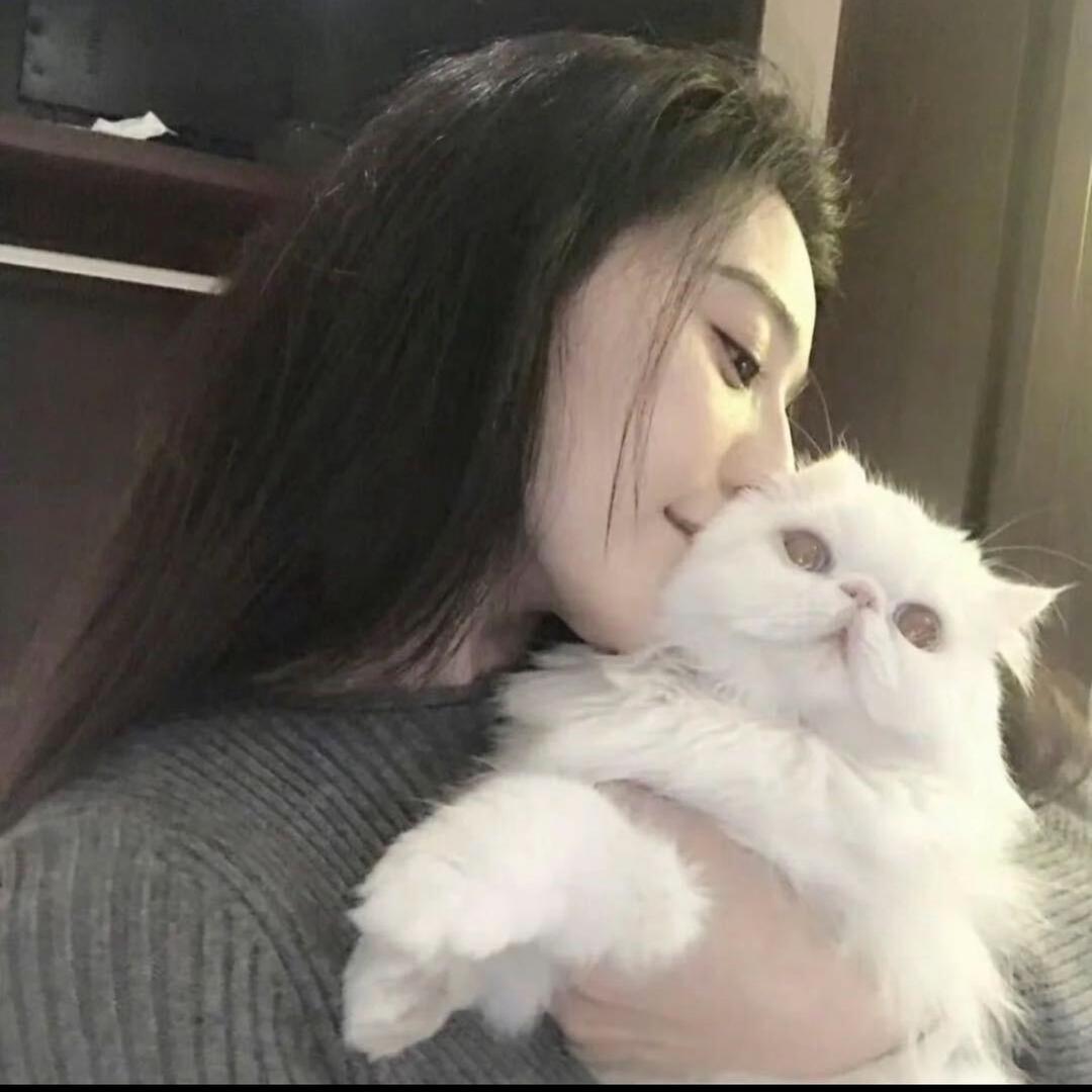 阳的日记