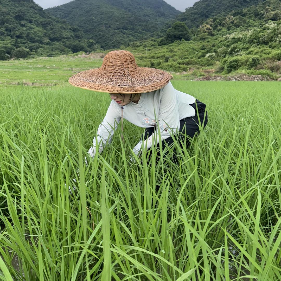 广东创优谷农产品