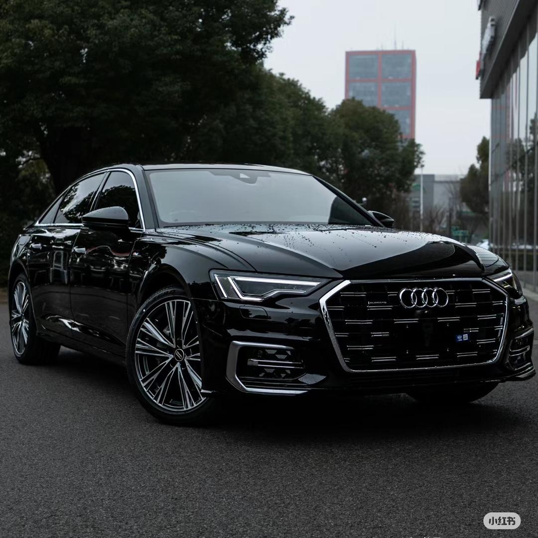 奥迪(王厂长)