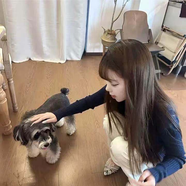 算了吧