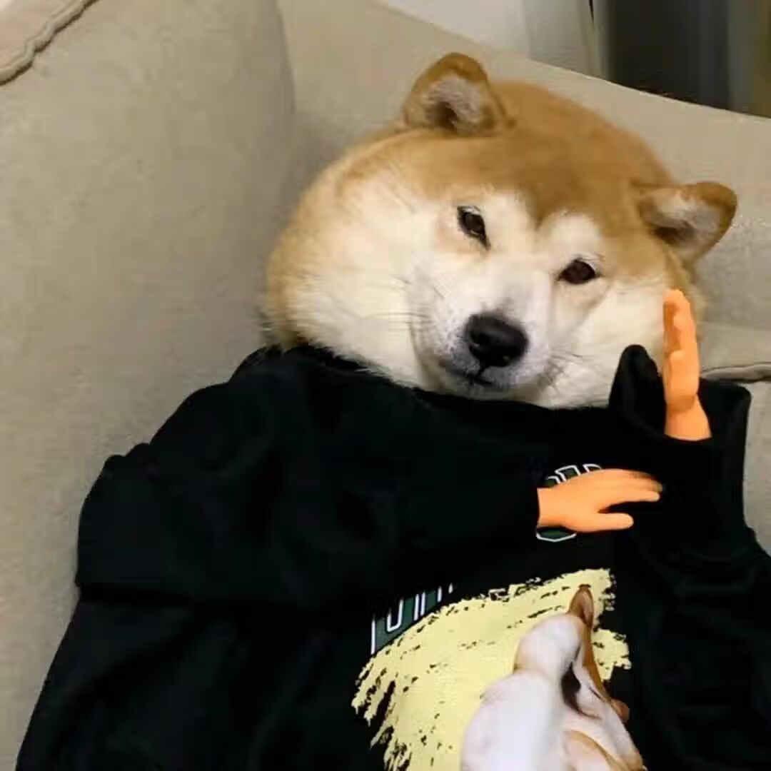 😎