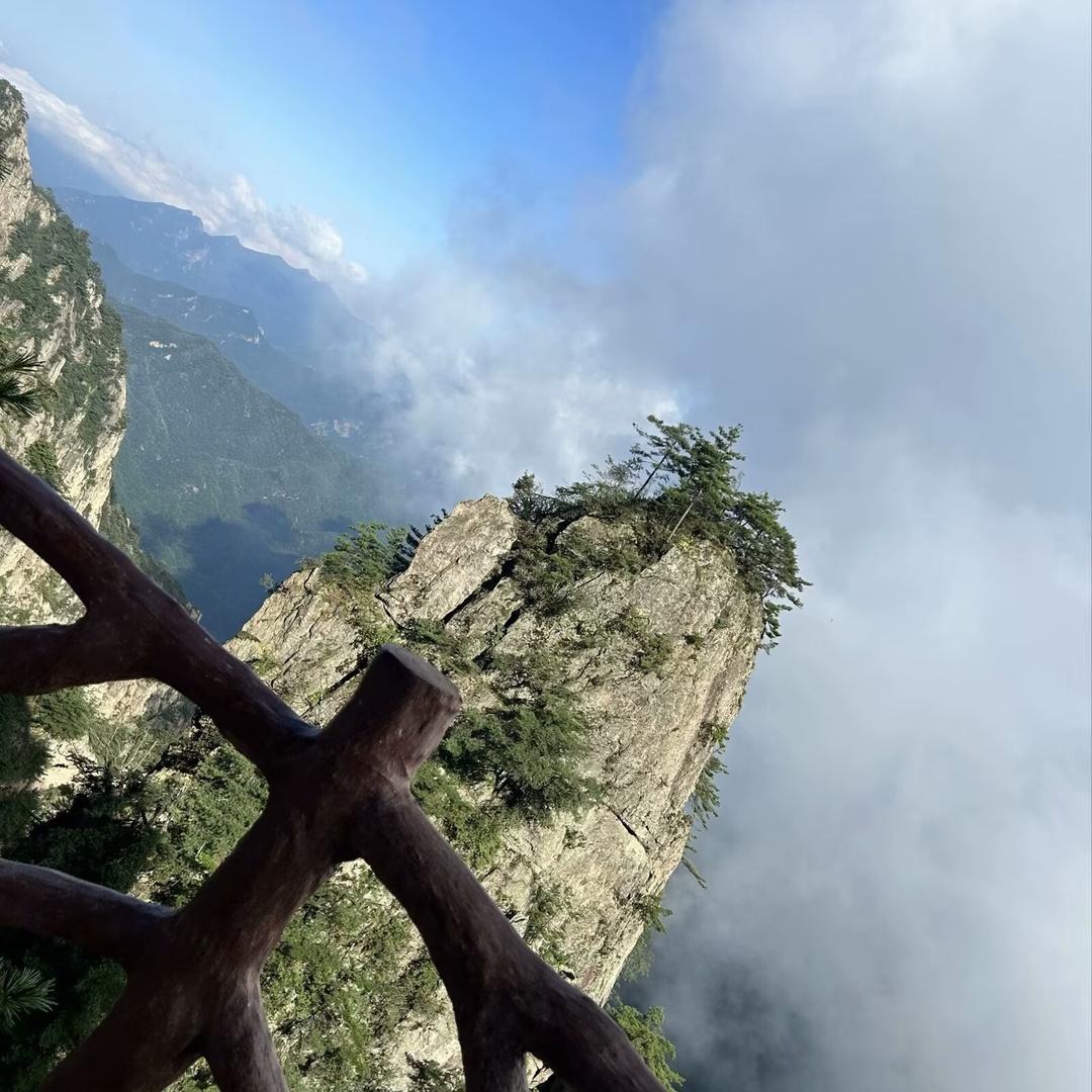 肥城桥头卤味铺子～小蔡