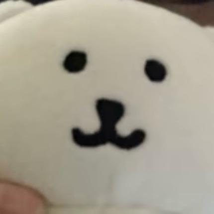 小1大王