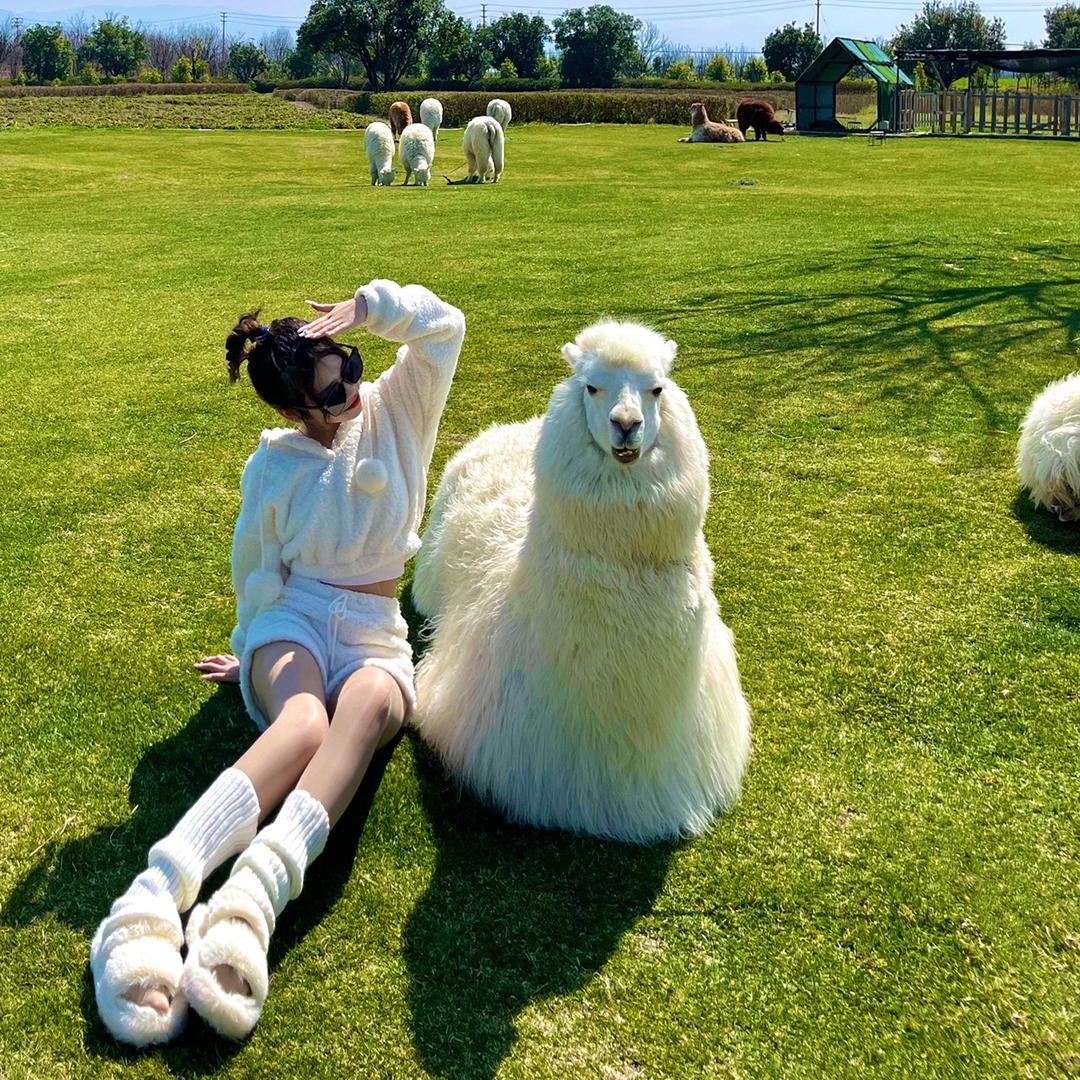 秋若夕