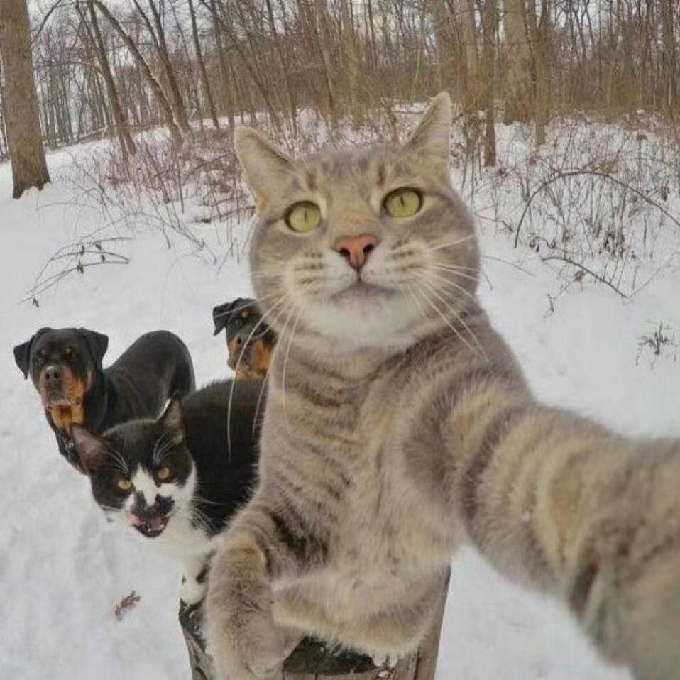 猛踹瘸子那条好腿