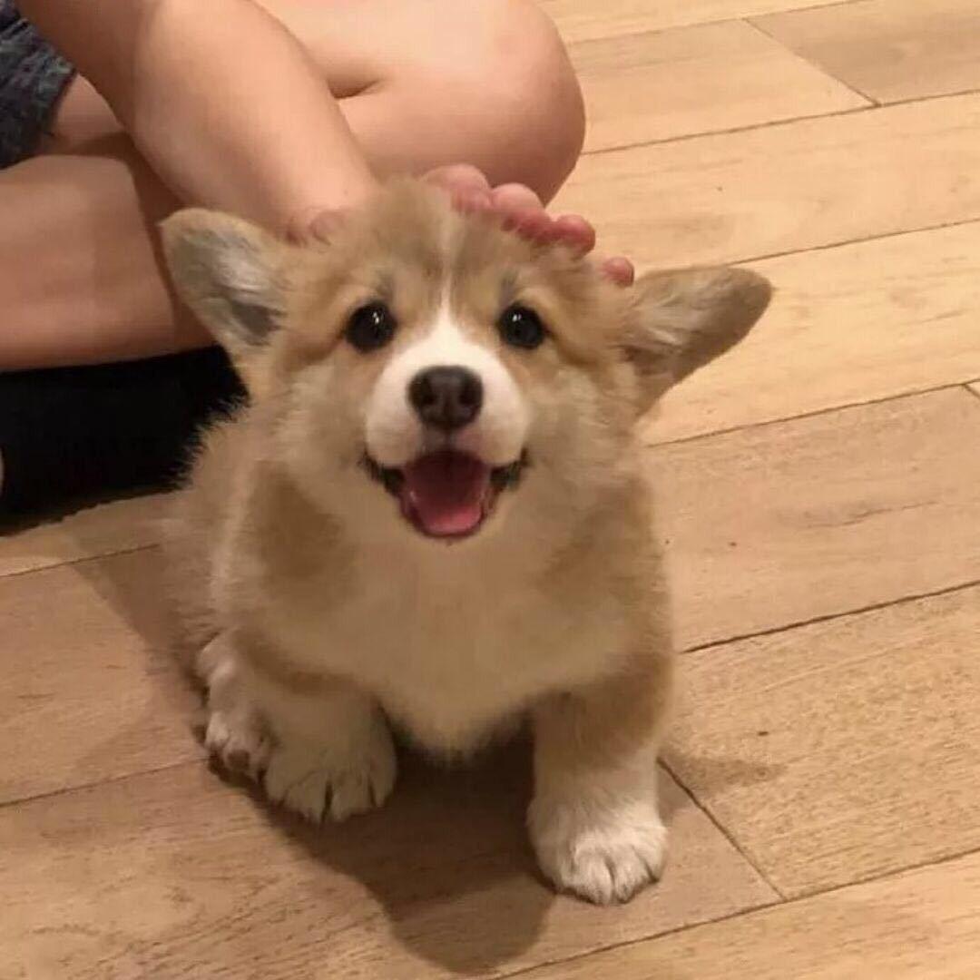 读自