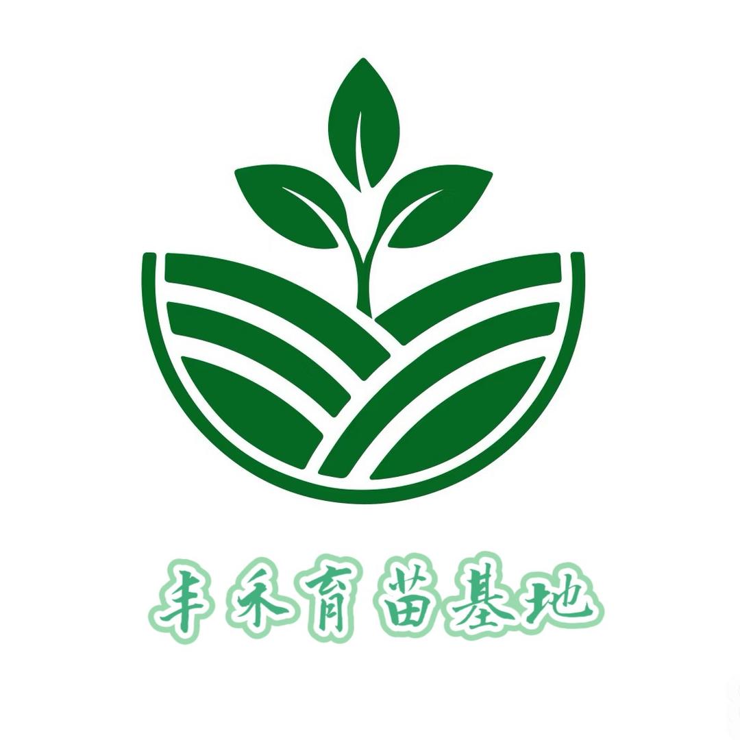 丰禾育苗基地