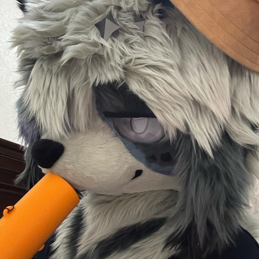 抹布（先看简介）