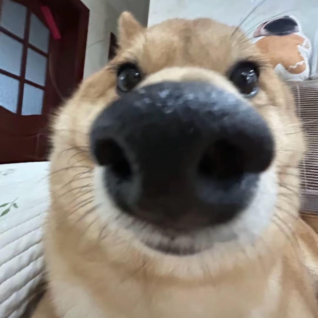 wty