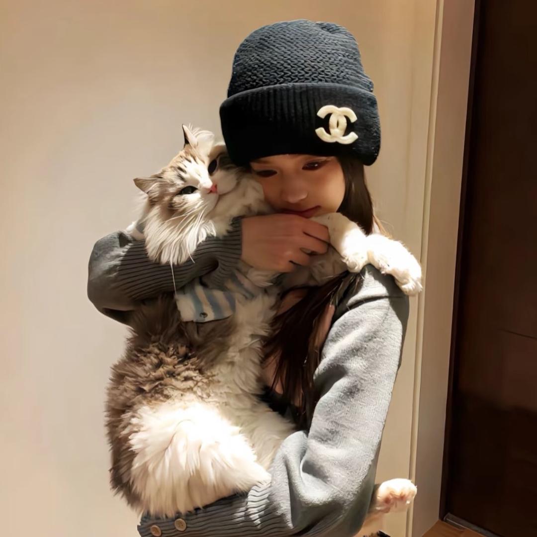 没有冰
