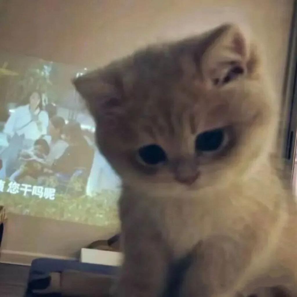 幸福小狗