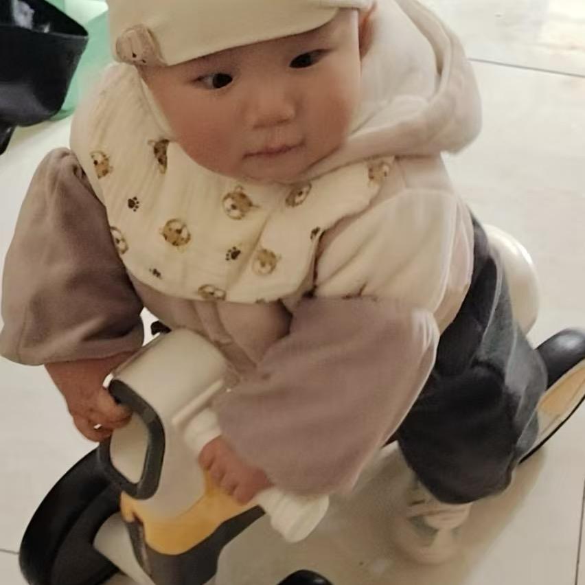 龙龙成长记