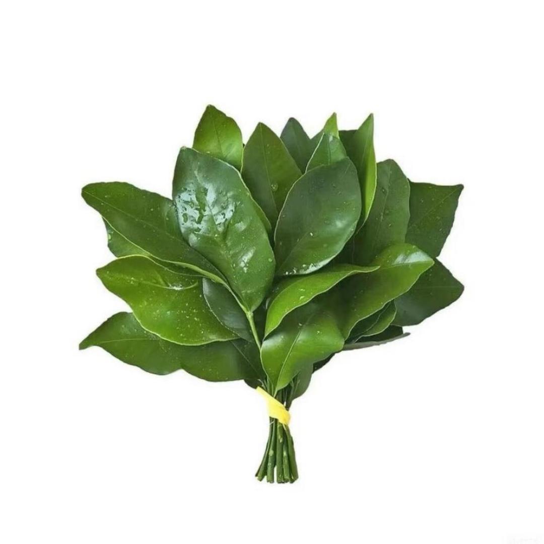 一十八