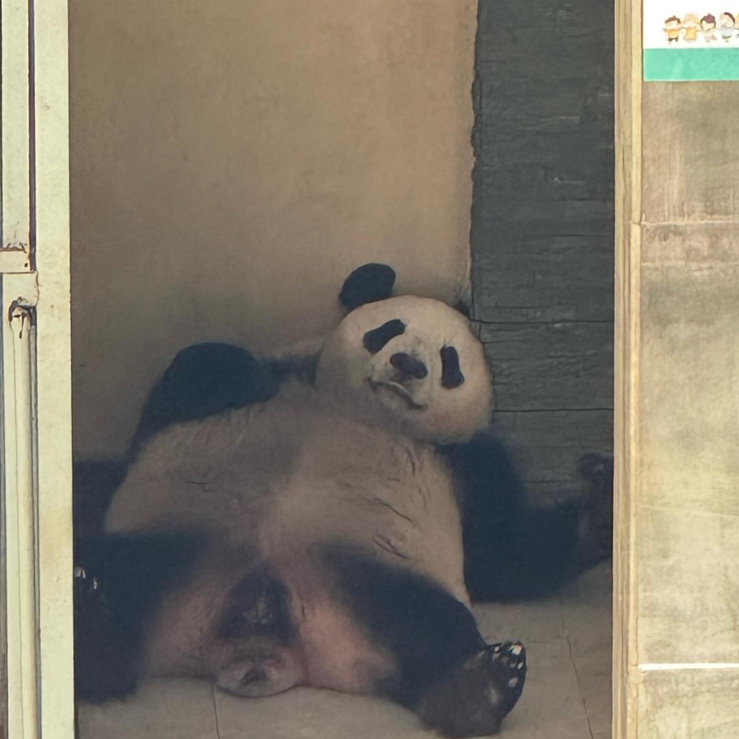 储个朋友呗