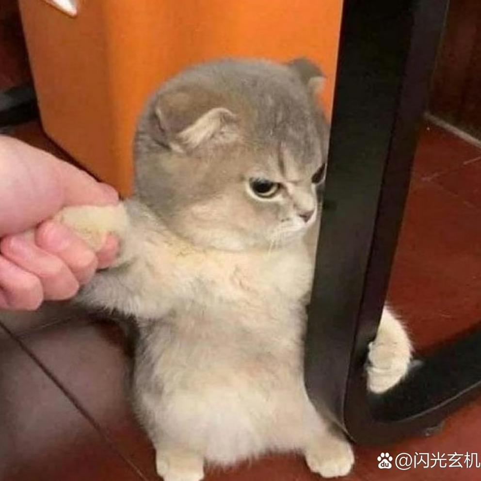明月清风