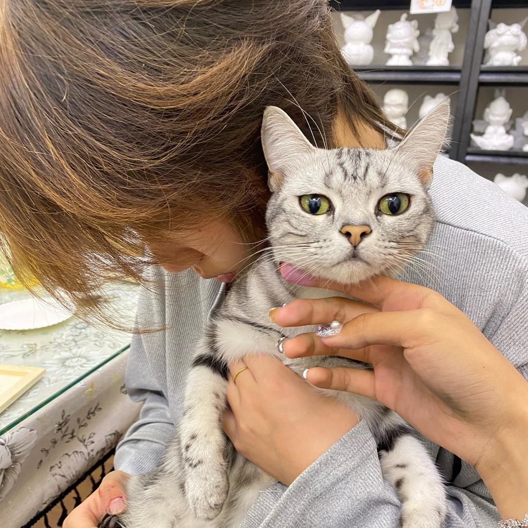 京一的1️⃣是洢