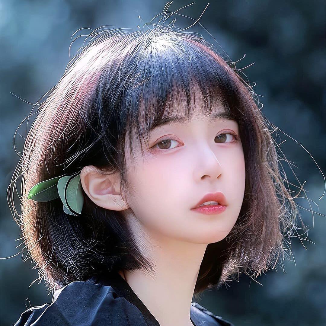 何乐而不为(收藏家）