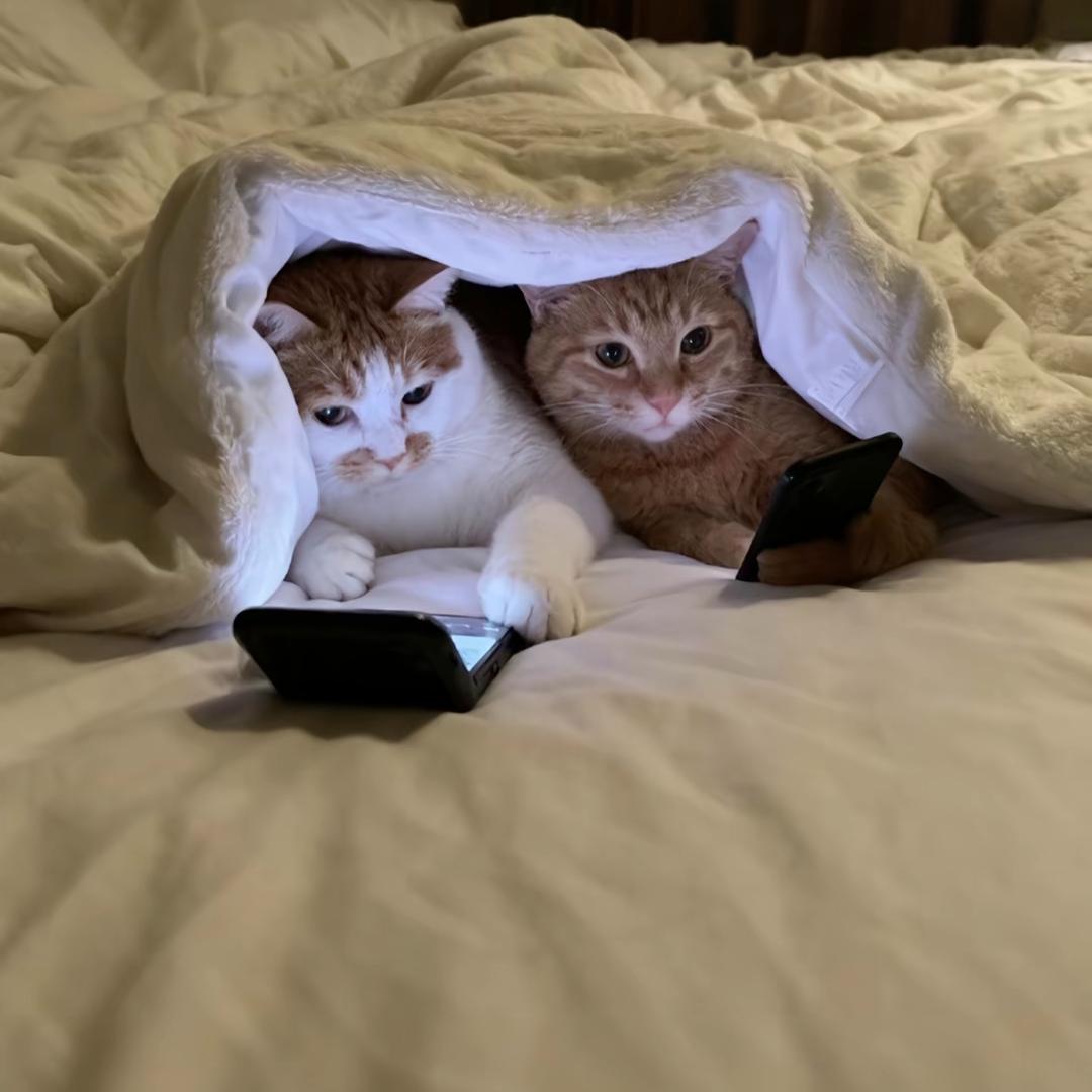 ^_^
