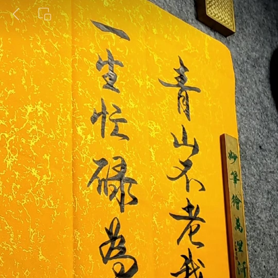 逗逗是我