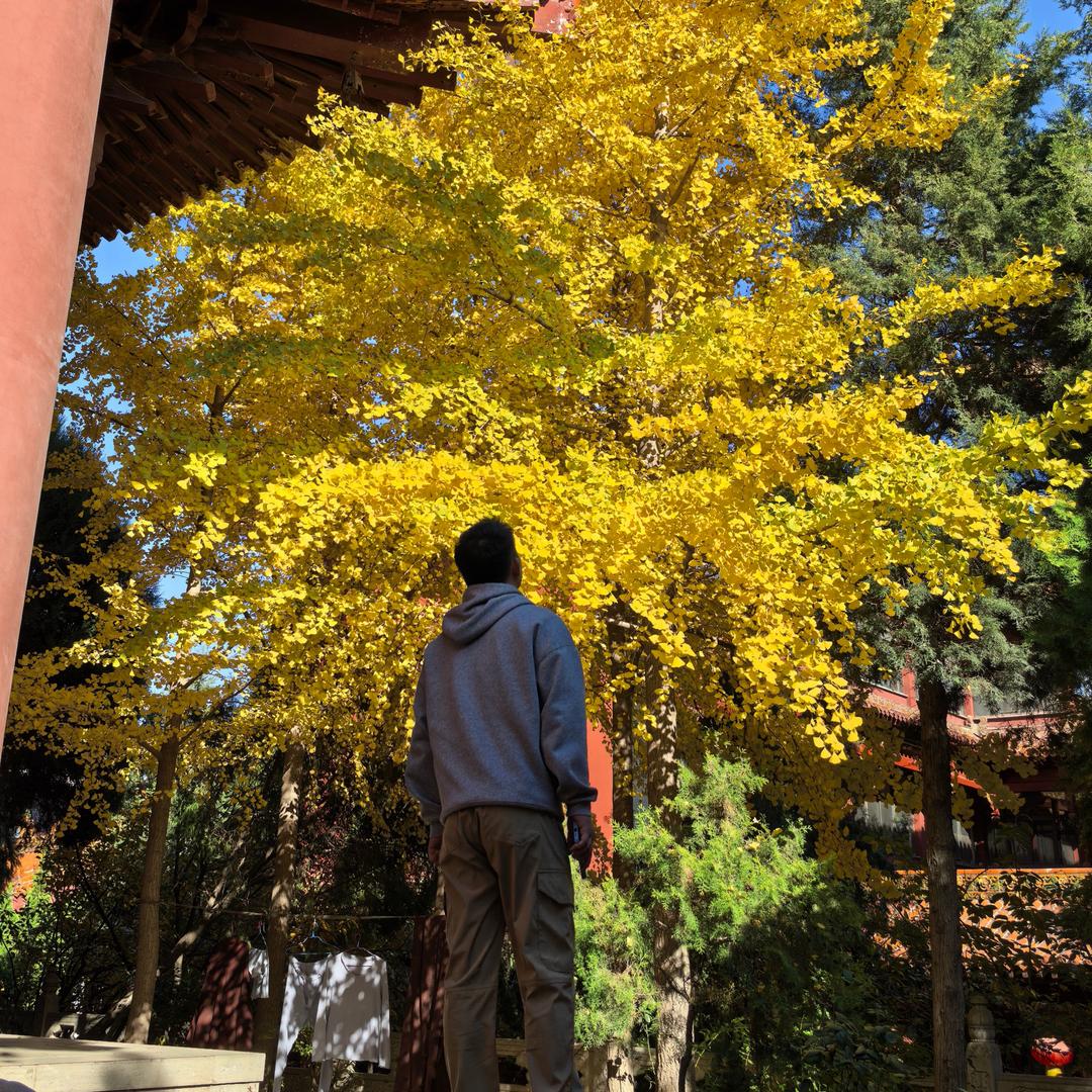 橘子洲头荡秋千🇨🇳🇨🇳