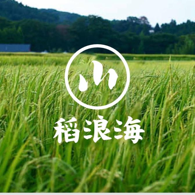 稻浪海冷泉粥米直播间