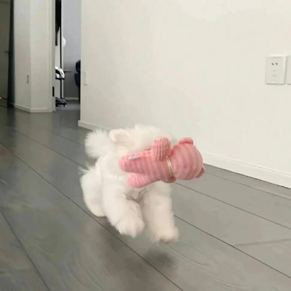 可乐要加冰
