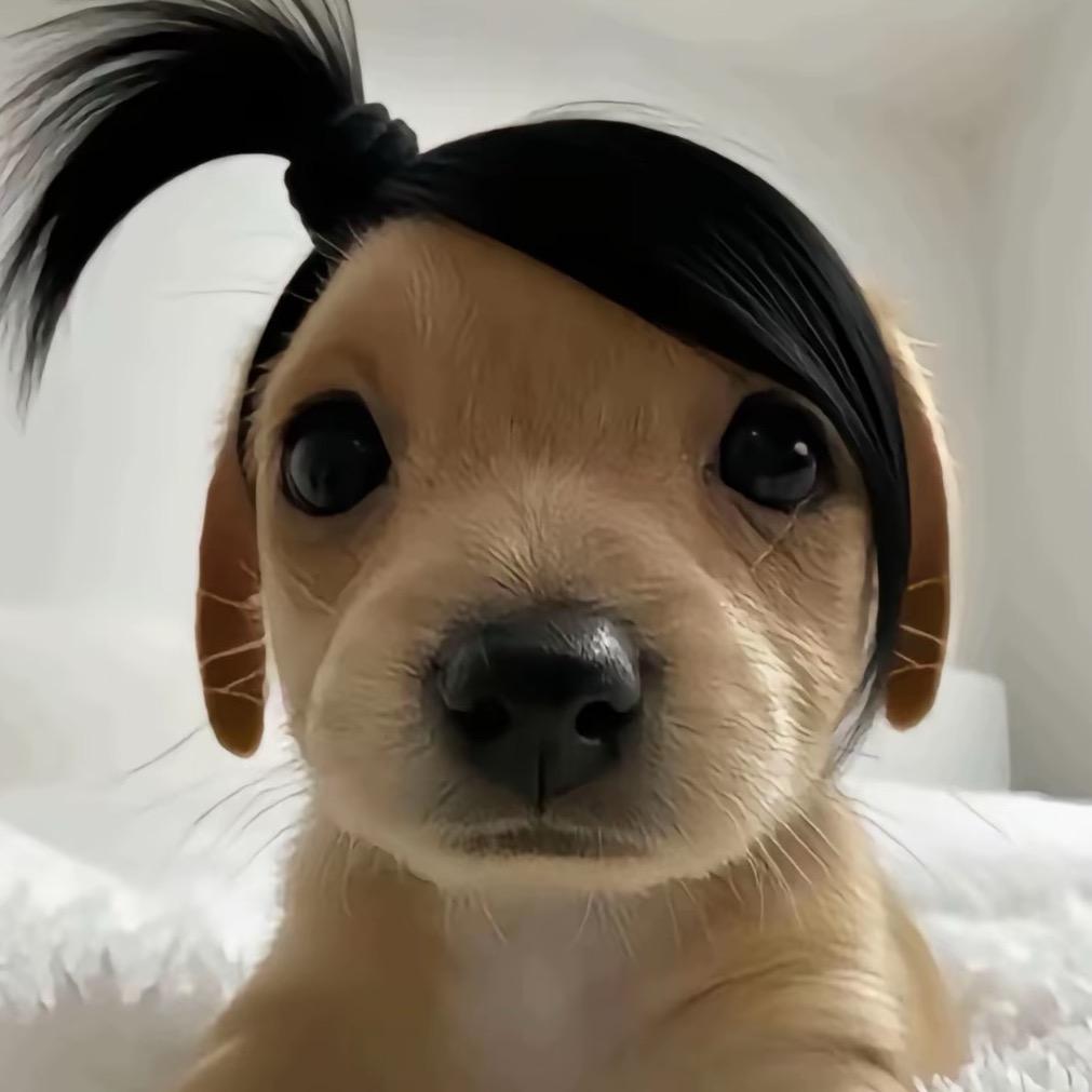 怎么说违心话