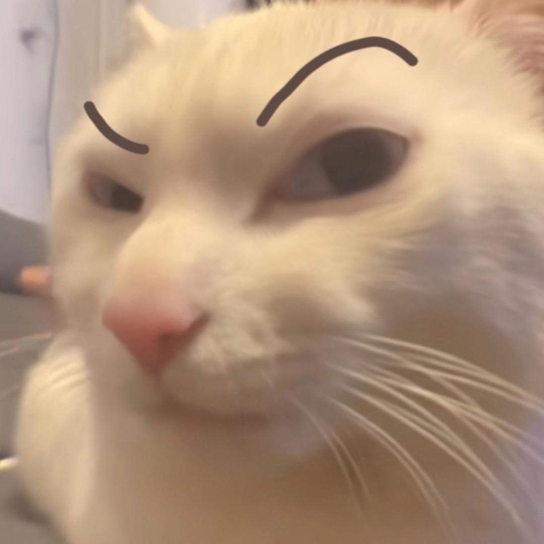 暴怒的喷火龙