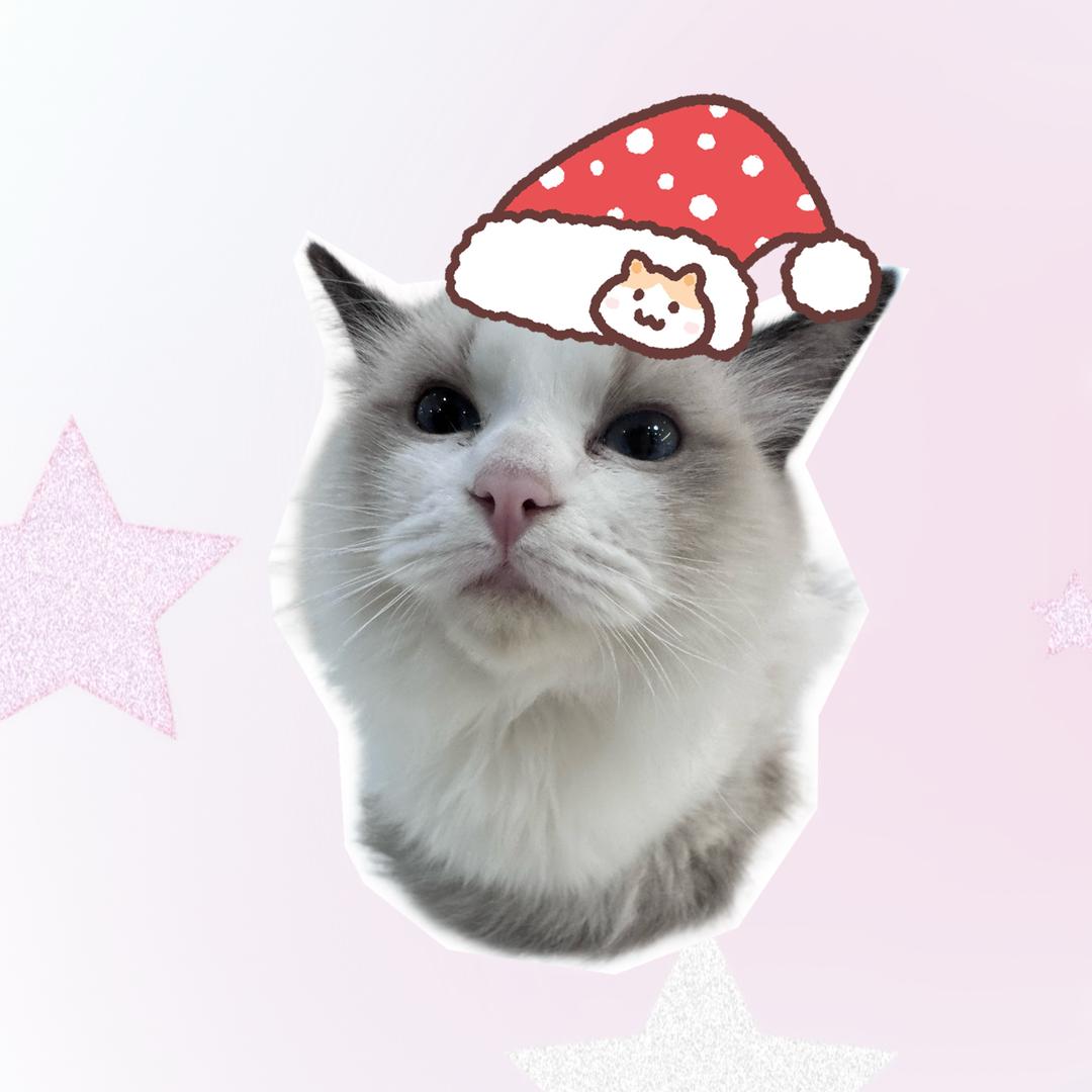 狗屎棉花糖奶茶