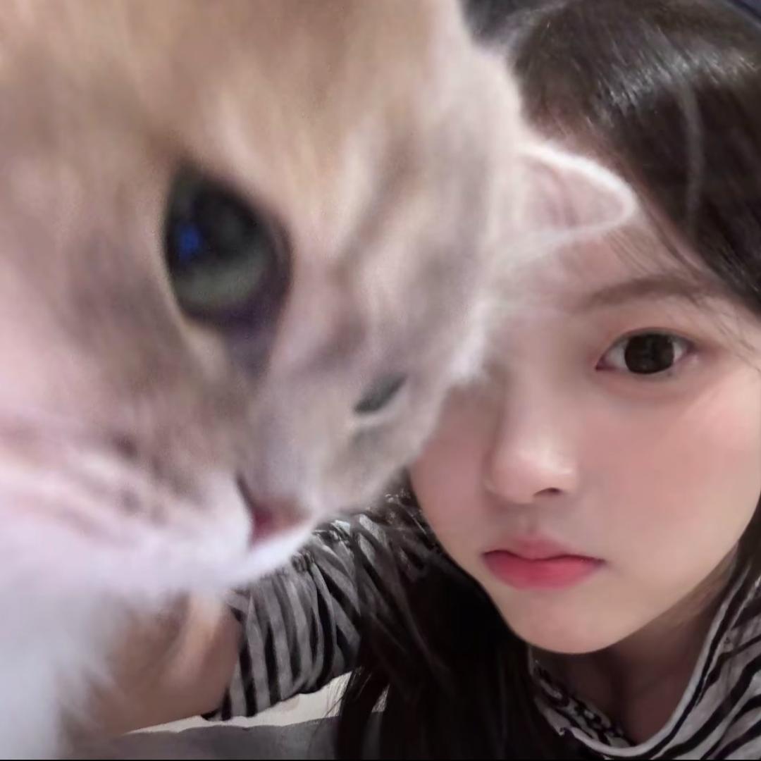 我糙世界那么坏