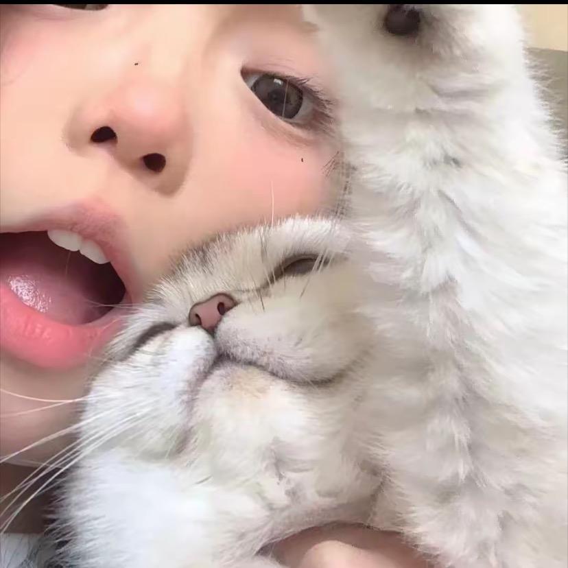 猕猴桃