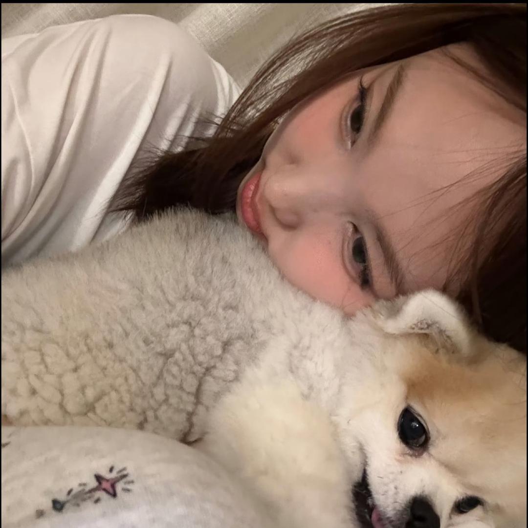 不拖拖