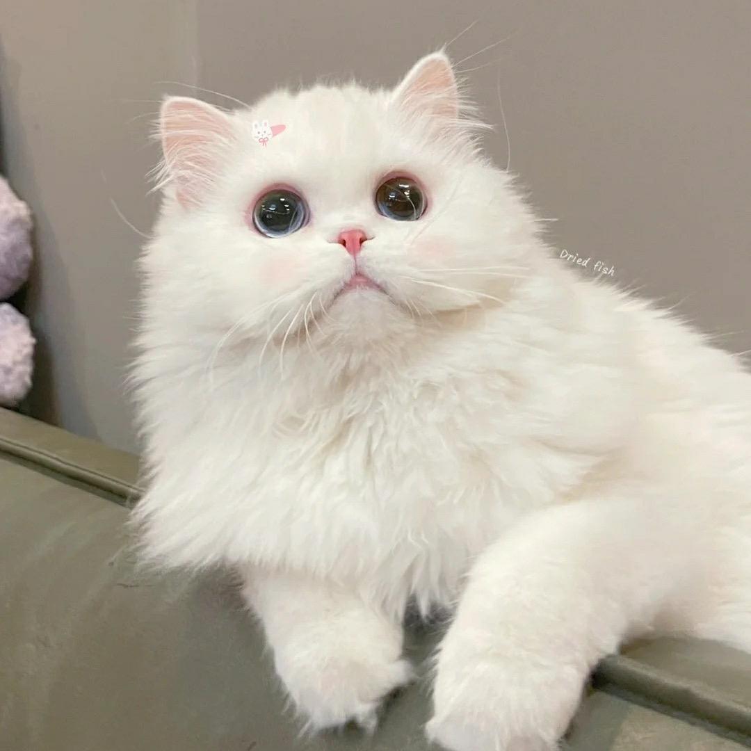 花生了什么树🐬